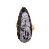 Alchemia Orthoceras Adjustable Ring